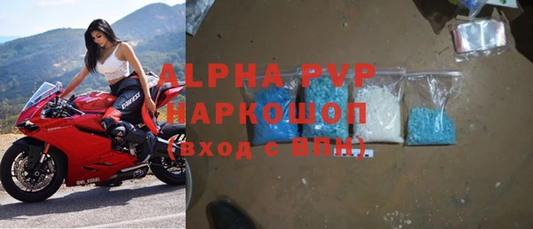 хмурый Новозыбков