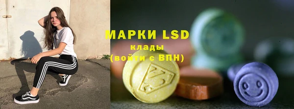 хмурый Новозыбков