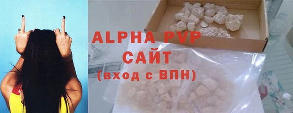 хмурый Новозыбков