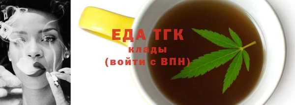 хмурый Новозыбков