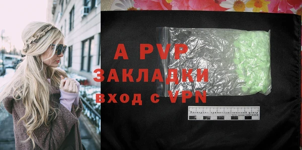 хмурый Новозыбков