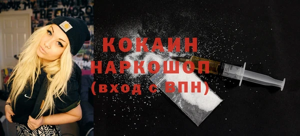 хмурый Новозыбков