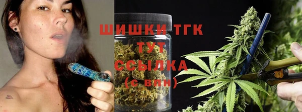 хмурый Новозыбков