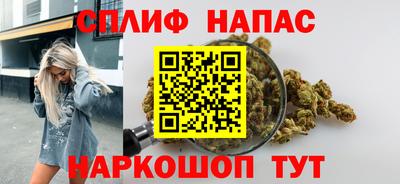 дживик Гай