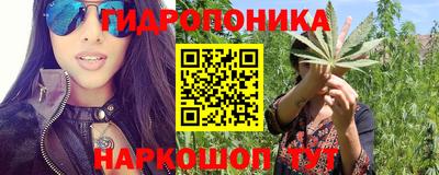 дживик Гай