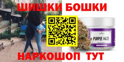 дживик Гай