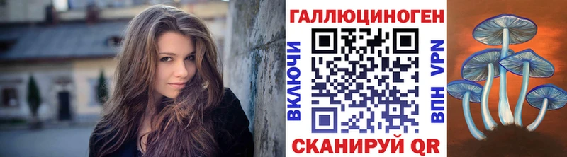 Галлюциногенные грибы Cubensis  даркнет сайт  Новомосковск 